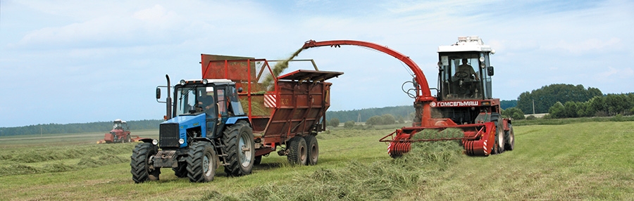 Комплекс для нарыхтоўкі кармоў K-Г-6