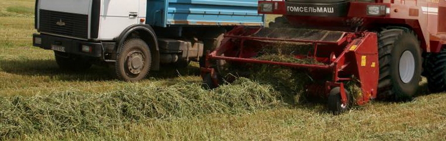 Падборшчык на FS80