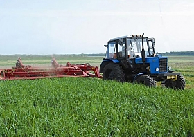 Касілка-плюшчылка прычапная КПП-4,2 СТ42